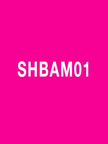 SHBAM 01 Releases SHBAM01 CD DVD Instructor Notes - Click Image to Close