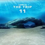 The Trip 11 Releases TheTrip11 CD DVD Instructor Notes