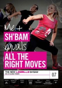 SHBAM 07 Releases SHBAM07 CD DVD Instructor Notes
